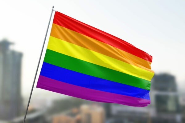 Lgbtq Flag