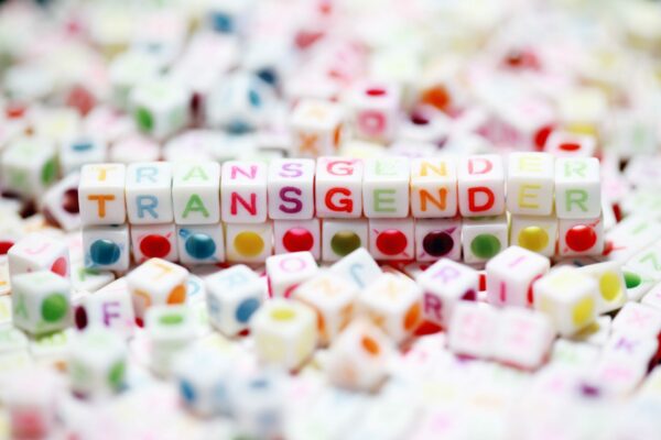 Celebrate Transgender Day of Visibility by supporting transgender voices and stories.