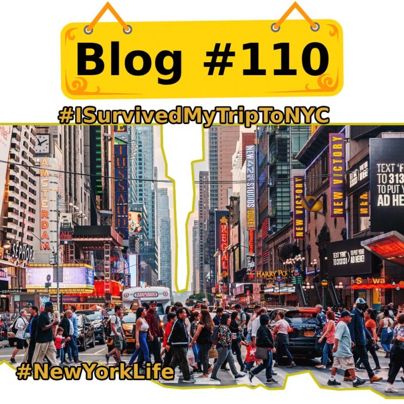 I Survived My Trip To Nyc Thumbnail