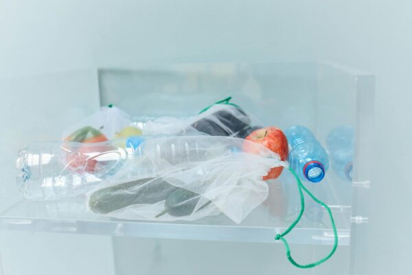 International Day Of Zero Waste 2026 highlights the global meaning of reducing waste through more responsible everyday choices.