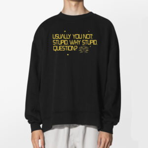 Usually You Not Stupid Why Stupid Question Project Hail Mary Shirt 2