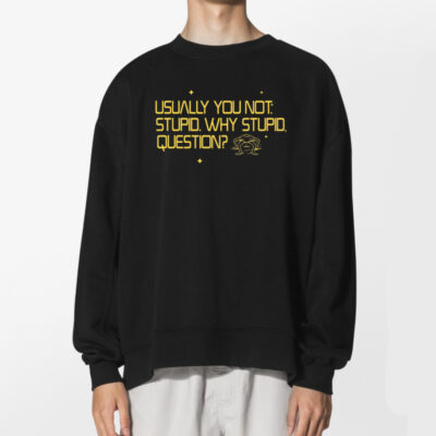 Usually You Not Stupid Why Stupid Question Project Hail Mary Shirt 2