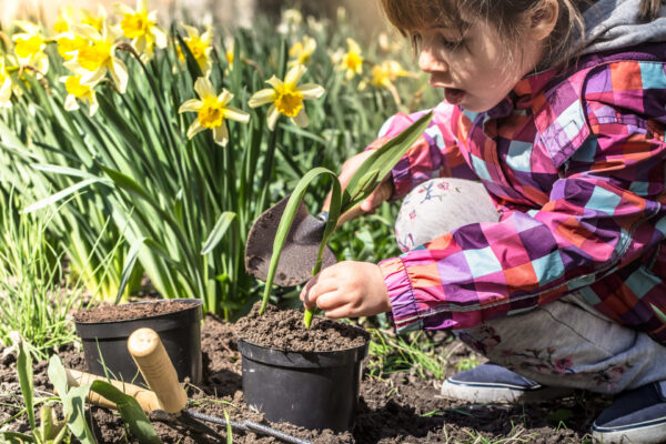 People celebrate Earth Day 2026 through eco habits, nature activities, and shared awareness.