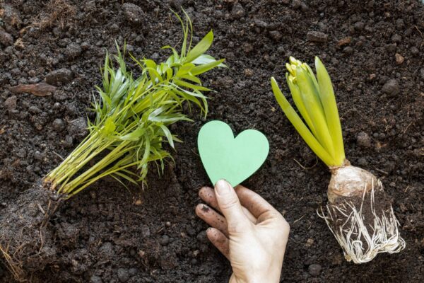 United States Arbor Day 2026 reflects a growing trend where nature inspired messages and eco lifestyle choices appear in everyday fashion.