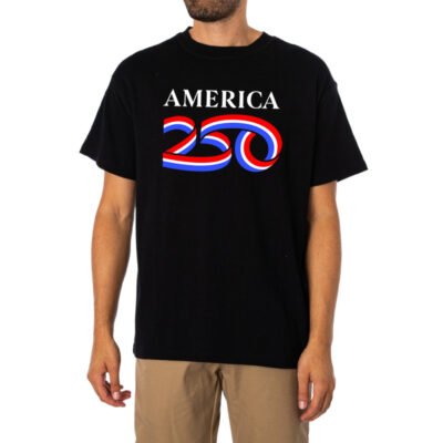 America 250 Declaration Of Independence Tshirt 1