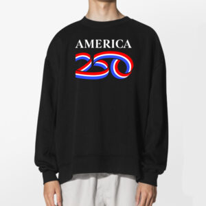 America 250 Declaration Of Independence Tshirt 2